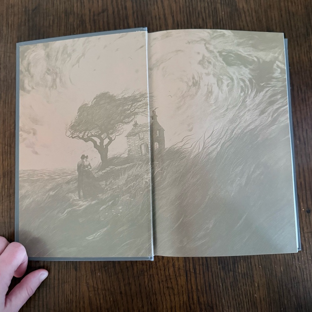 Wuthering Heights Deluxe Hardcover by Emily Brontë | Brand New - Picture 5 of 7